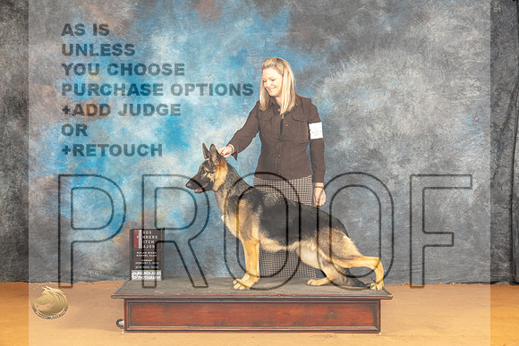 German Shepherd Dog #18 Sun WBBOSM Judge Butch Shulman_JP_0715_Glen Rose_2024_HR3