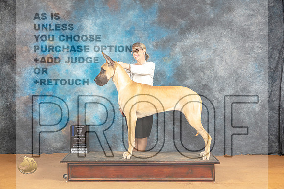 Great Dane #10 Sun WBBOWM Judge Pat Trotter_JP_0737e_Glen Rose_2024_HR3