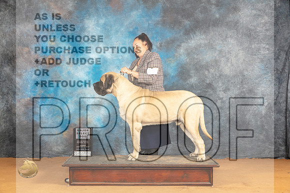 Mastiff #15 Sun SDM Judge Carolyn Herbel_JP_0709_Glen Rose_2024_HR3