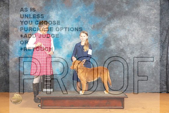 Nova Scotia Duck Tolling Retriever #J402 1st Judge Ann Wolf_JP_0669_Glen Rose_2024_HR3