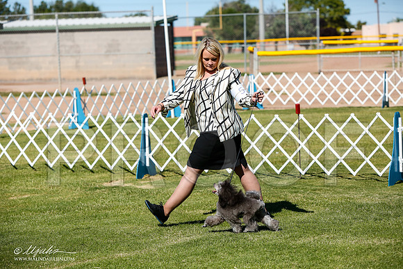 _JJ_4615-AlamogordoOct2014-HR3