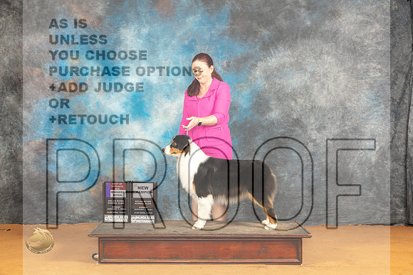 Australian Shepherd #18 Sun WBBOS Judge Dr Steve Keating_JP_0811_Glen Rose_2024_HR3
