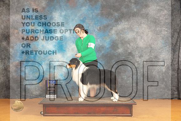 Australian Shepherd #23 Sun WDBOWBOB Judge Dr Steve Keating_JP_0805_Glen Rose_2024_HR3
