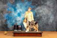 Collie Rough #6 Sun BOWBOVWBM Judge Butch Shulman