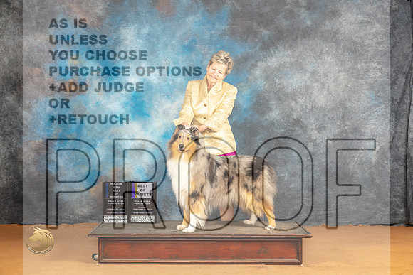 Collie Rough #6 Sun BOWBOVWBM Judge Butch Shulman_JP_0836_Glen Rose_2024_HR3