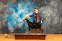 Doberman Pinscher #22 Sat Felicity