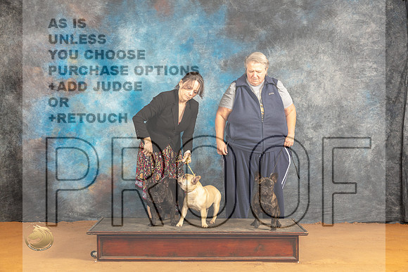 French Bulldog #24 Sat_JP_0815_Glen Rose_2024_HR3