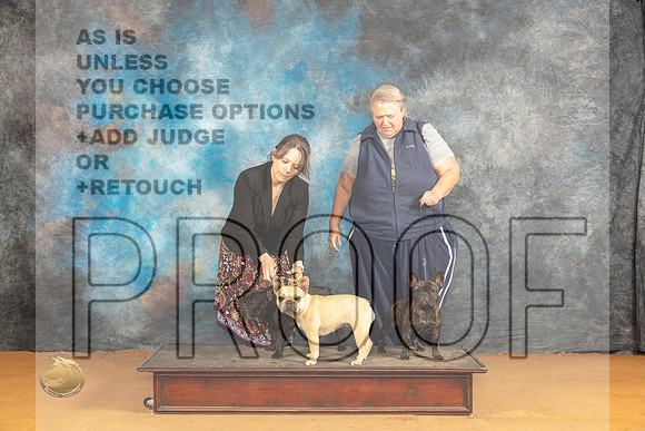 French Bulldog #24 Sat_JP_0816_Glen Rose_2024_HR3
