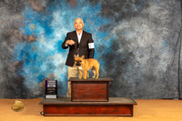 French Bulldog #9 Sun RWD Judge Edy Dykstra-Blum
