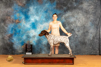 German Shorthaired Pointer #7 Sun WD Judge Nena Dee