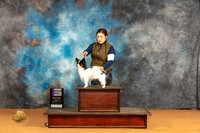 Papillon #11 Sun WD Judge Angela Pickett