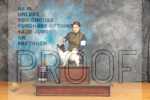Papillon #11 Sun WD Judge Angela Pickett_JP_0900_Glen Rose_2024_HR3