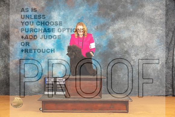Poodle Miniature #6 Sun BOWBOV Judge Edy Blum_JP_0885_Glen Rose_2024_HR3
