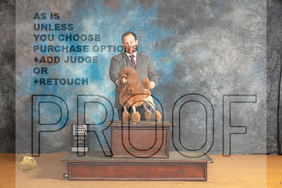 Poodle Miniature #8 Sun SB Judge Edy Blum_JP_0897_Glen Rose_2024_HR3