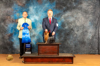 Yorkshire Terrier #7 Sat G1 Judge Desmond Murphy