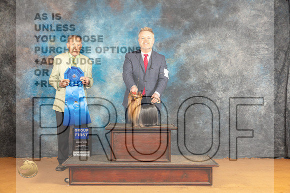 Yorkshire Terrier #7 Sat G1 Judge Desmond Murphy_JP_0852_Glen Rose_2024_HR3