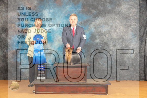 Yorkshire Terrier #7 Sat G1 Judge Desmond Murphy_JP_0854_Glen Rose_2024_HR3