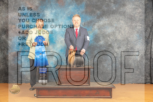 Yorkshire Terrier #7 Sat G1 Judge Desmond Murphy_JP_0855_Glen Rose_2024_HR3