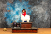 American Eskimo #18 Sat BOBWBOHBOB Judge Carolyn Herbel