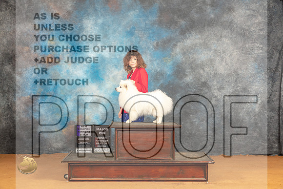 American Eskimo #18 Sat BOBWBOHBOB Judge Carolyn Herbel_JP_0963_Glen Rose_2024_HR3