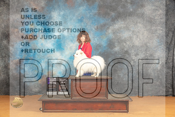 American Eskimo #18 Sat BOBWBOHBOB Judge Carolyn Herbel_JP_0961_Glen Rose_2024_HR3