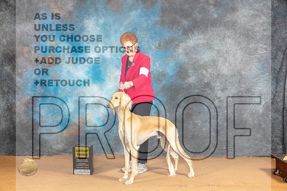 Saluki #5 Sat G3 r_JP_0937_Glen Rose_2024_HR3