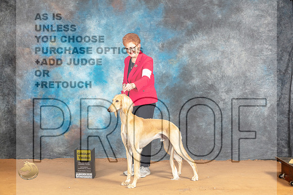 Saluki #5 Sat G3 r_JP_0938_Glen Rose_2024_HR3