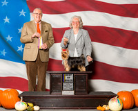 Yorkshire Terriers #9 Sun BOB Williams Janice Anne Wylie May Keeling Judge Mr Merle Taylor