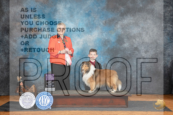 Sheltand Sheepdog #J7 Fri RBJr Judge Suzanne Dillin__JP_7343_MARSHALL_2024_HR3
