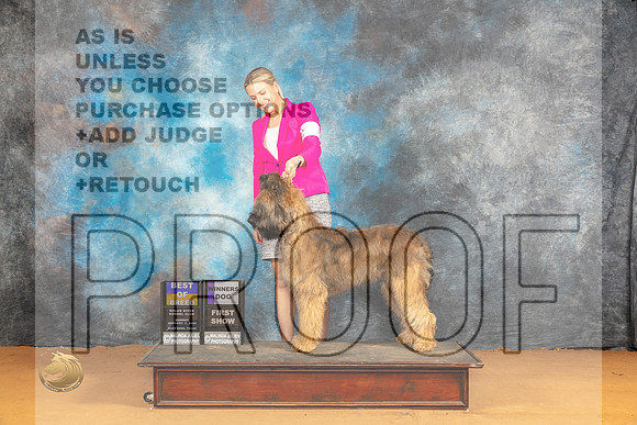 Briard #5 Sat BOBWD Judge Butch Shulman_JP_1014_Glen Rose_2024_HR3