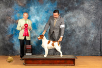 Brittany #11 Sun G2 Judge Desmond Murphy