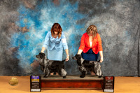 English Cocker Spaniel #5 Sun BOB #6 Judge Nena Dee