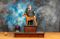 Irish Terrier #6 Sat BOBOHBOB Judge Butch Schulman