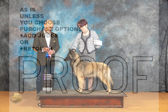 Belgian Tervuren #18 Sun RWD Judge Butch Schulman_JP_1100_Glen Rose_2024_HR3