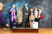 French Bulldog #7 Sun BIS Judge Dr Steve Keating 2