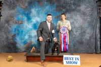 French Bulldog #7 Sun BIS Judge Dr Steve Keating 3