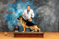 German Shepherd Dog #18 Sun BOB Judge Butch Schulman