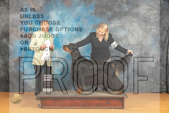 Gordon Setter #5 Sun G4 Judge Desmond Murphy_JP_1078_Glen Rose_2024_HR3