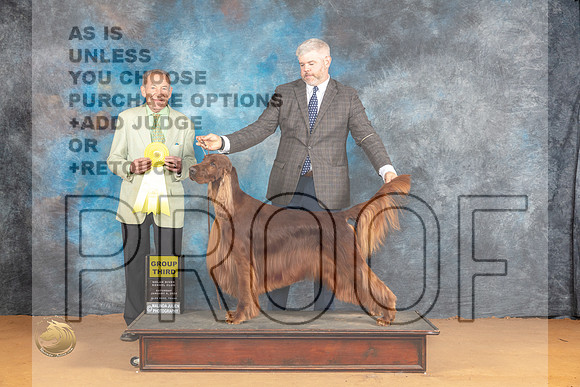 Irish Setter #5 Sun G3 Judge Desmond Murphy_JP_1070_Glen Rose_2024_HR3