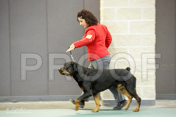 _JN_2129-BeltonJan2015-HR3