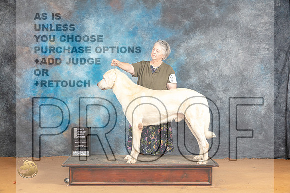 Anatolian #5 Sun OHG4 Judge Pat Trotter_JP_1477_Glen Rose_2024_HR3