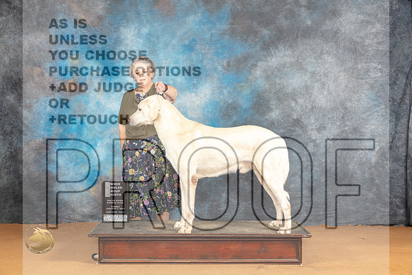 Anatolian #5 Sun OHG4 Judge Pat Trotter_JP_1480_Glen Rose_2024_HR3