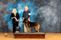 Belgian Tervuren #5 Sun WD Judge Edy Blum