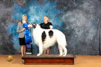 Borzoi #23 Sun G1 Judge Angela Pickett