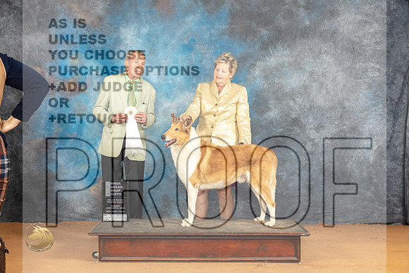 Collie Smooth #5 Sun OHG4 Judge Desmond Murphy_JP_1330_Glen Rose_2024_HR3