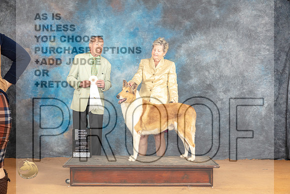 Collie Smooth #5 Sun OHG4 Judge Desmond Murphy_JP_1331_Glen Rose_2024_HR3