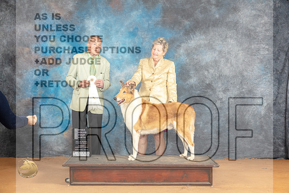 Collie Smooth #5 Sun OHG4 Judge Desmond Murphy_JP_1334_Glen Rose_2024_HR3