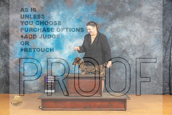 Dachshund #11 Sun WD Judge Robin Casey_JP_1209_Glen Rose_2024_HR3