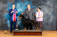 Doberman Pinscher #15 Sun RBIS Judge Dr Steve Keating