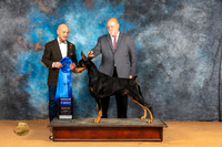 Dobermann Pinscher #15 Sun G1 Judge Butch Schulman
